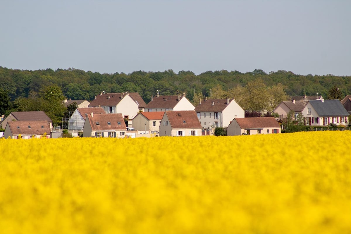 Écologie en Banlieue : Un Engagement Historique Souvent Sous-Estimé