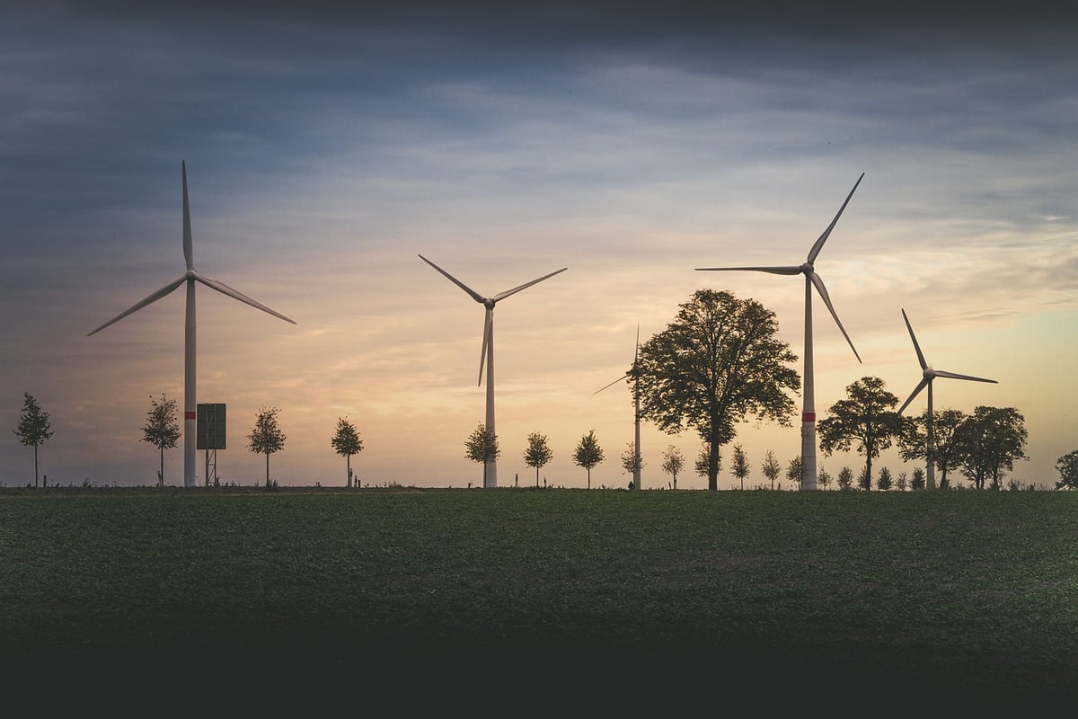 Ventions environnementales : Comprendre leur impact sur notre planète