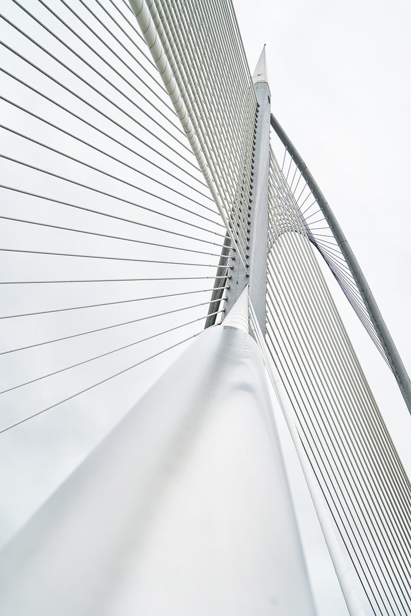 Infrastructure verte : Comment transformer nos villes pour un avenir durable