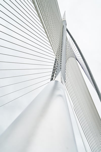 Infrastructure verte : Comment transformer nos villes pour un avenir durable