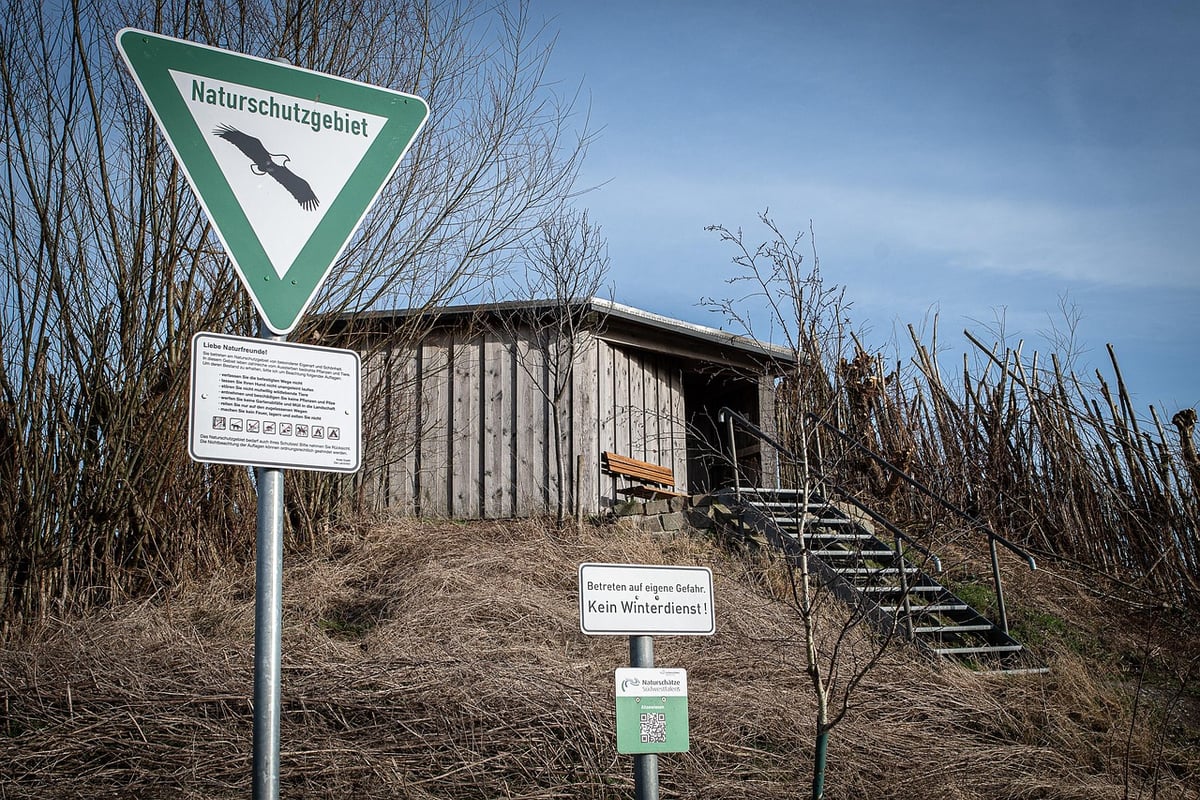 Rendre l’éducation environnementale et le climat captivants pour tous