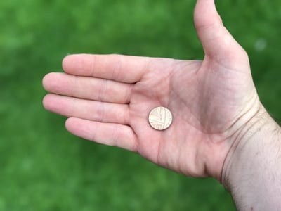 La Finance Verte au Vietnam : Une Voie vers un Développement Économique Durable