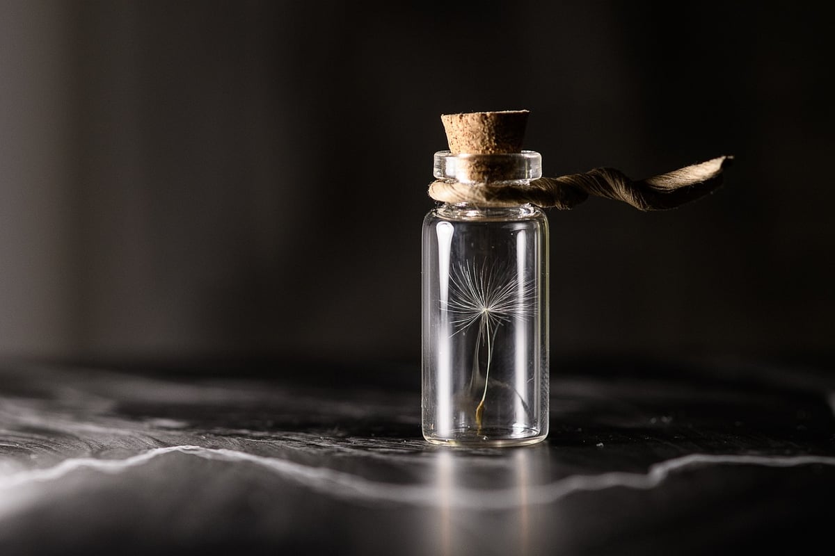 Préservation du patrimoine naturel : enjeux et solutions pour un avenir durable