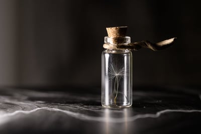 Préservation du patrimoine naturel : enjeux et solutions pour un avenir durable