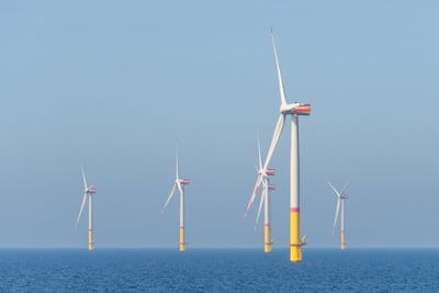 L’impact des éoliennes maritimes sur les écosystèmes : une enquête pour l’avenir de nos océans