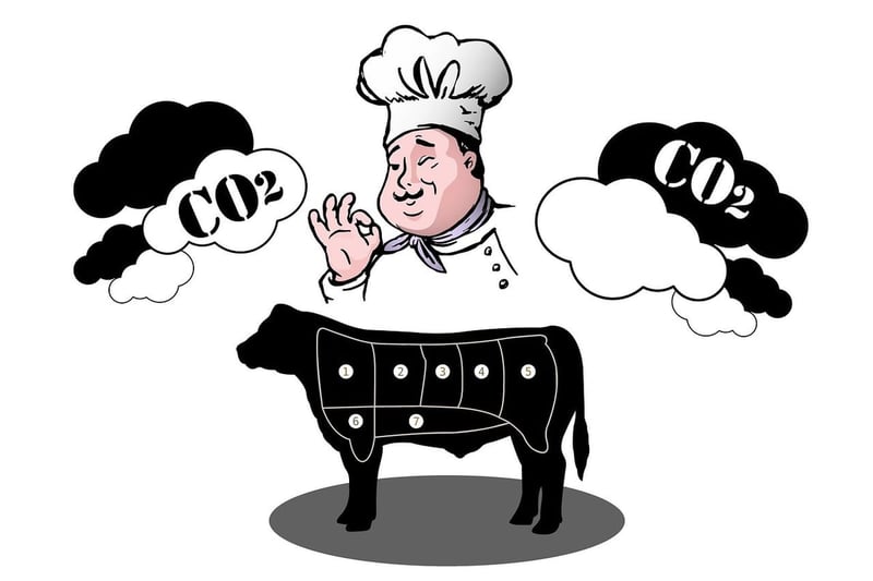 Comment réduire notre empreinte carbone au quotidien
