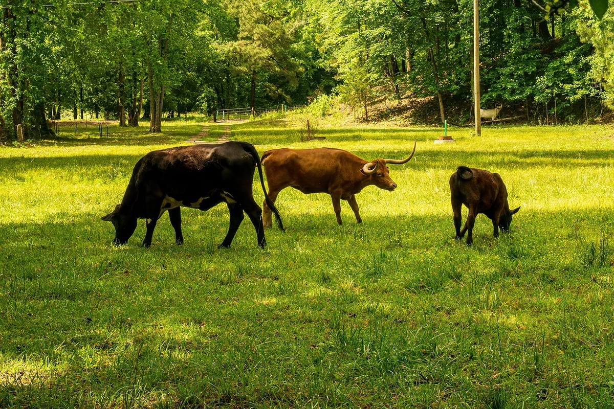 Empreinte carbone : Comment réduire son impact environnemental au quotidien