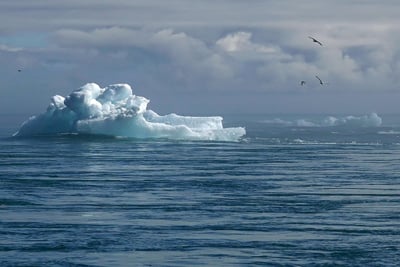 L’avis consultatif de la CIJ sur le changement climatique : Une analyse de l’interconnexion entre la protection de l’environnement et les droits humains