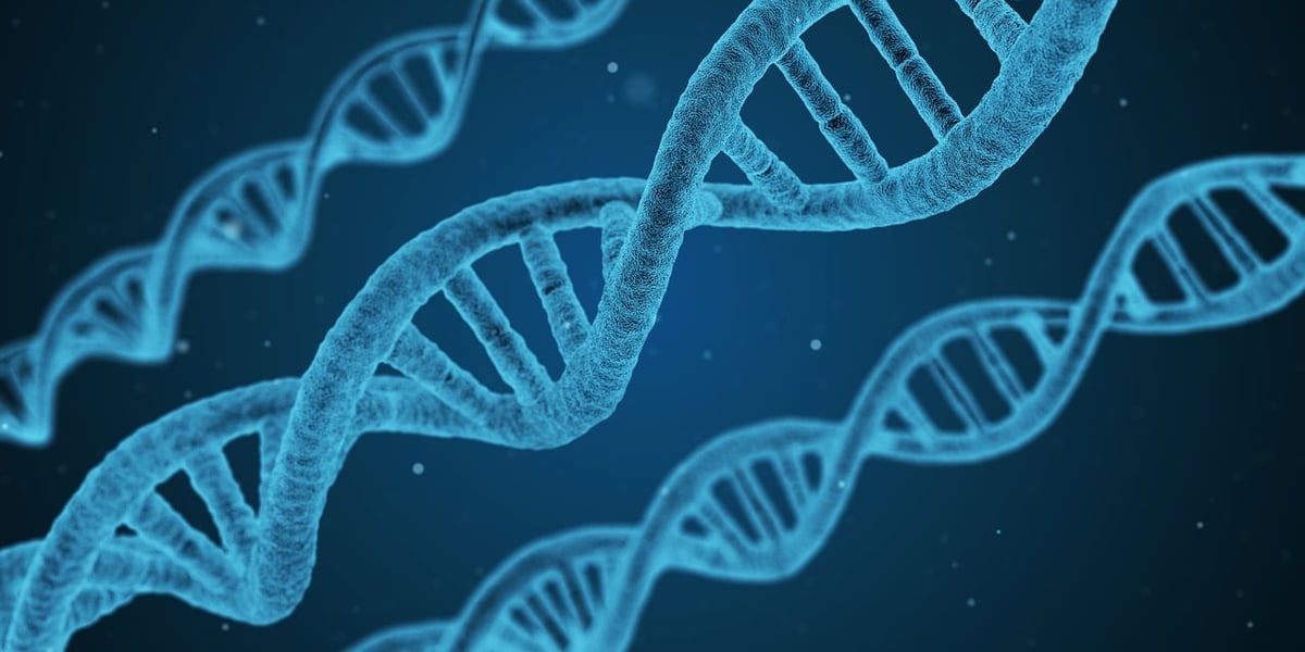 Collaboration scientifique : renforcer les synergies entre chercheurs pour des avancées innovantes