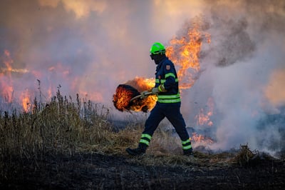 Incendies : un péril grandissant qui ravage les forêts à l’échelle mondiale