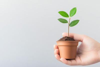 Croissance durable : Vers un avenir économique et écologique équilibré
