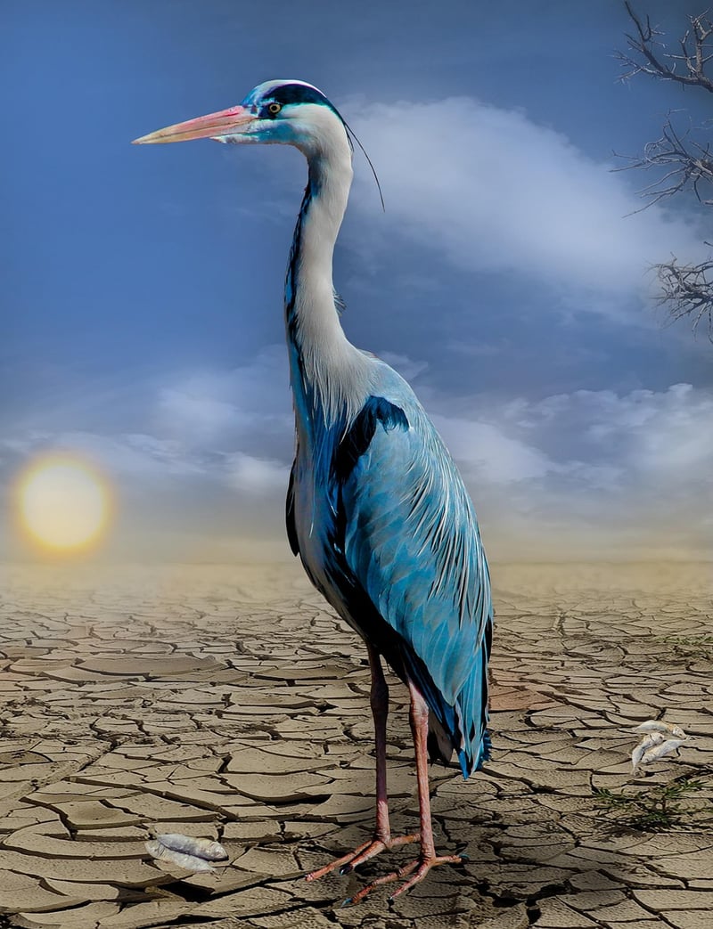 L’Evolution des Espèces : L’Impact du Changement Climatique sur Nos Écosystèmes