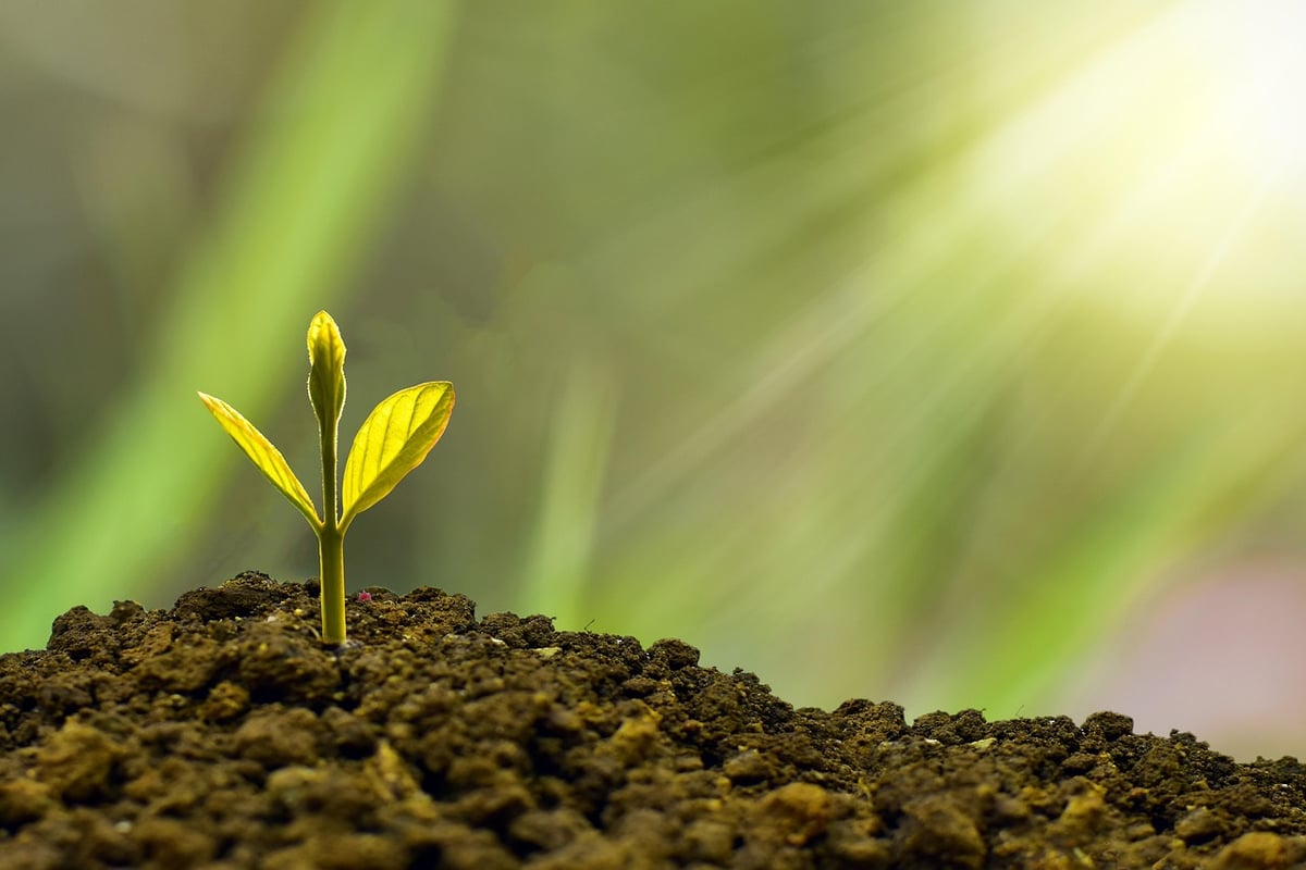 Indicateurs de durabilité : Mesurer l’impact environnemental des entreprises