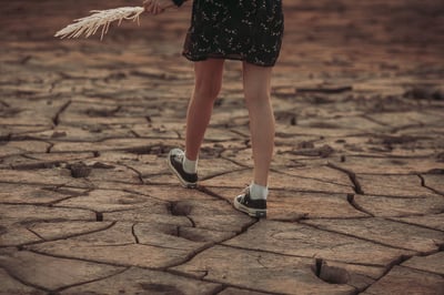 Exploration des Interconnexions entre Changement Climatique et Marché de l’Emploi