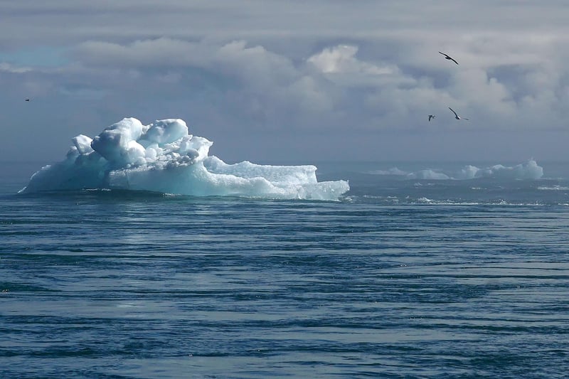 L’impact du changement climatique sur notre planète : défis et solutions