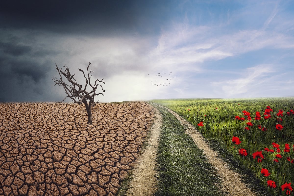 Impact du changement climatique sur les zones humides et leur diversité