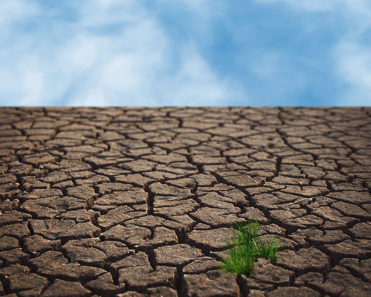 Le changement climatique et ses enjeux géopolitiques