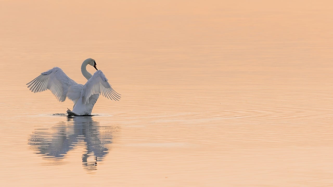 Comment économiser l’eau dans votre quotidien