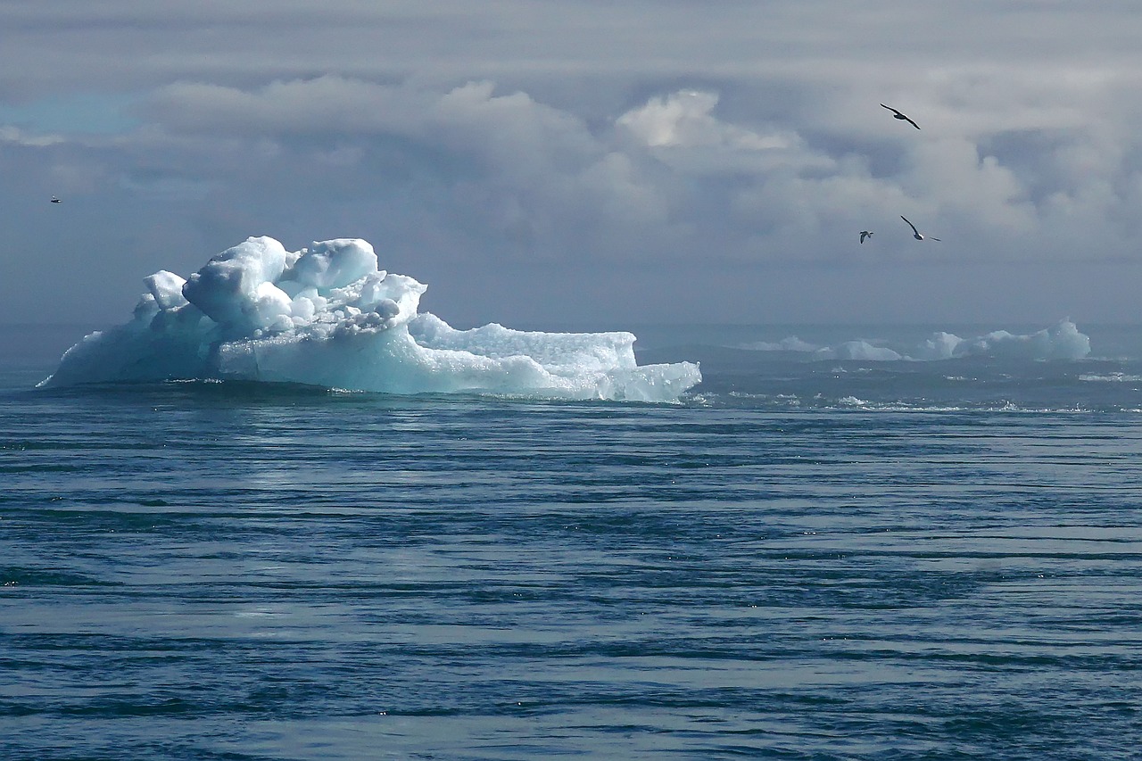 L’impact du changement climatique sur la biodiversité des écosystèmes marins