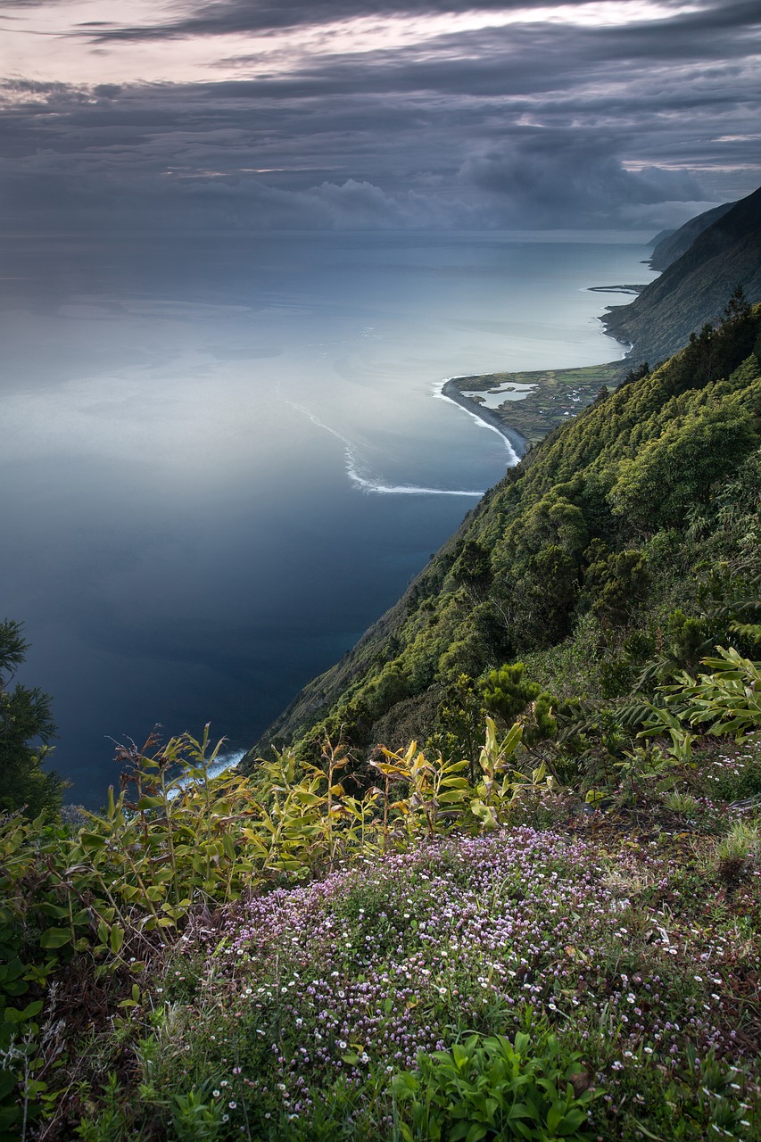 Mesurer la biodiversité pour mieux combattre le climat