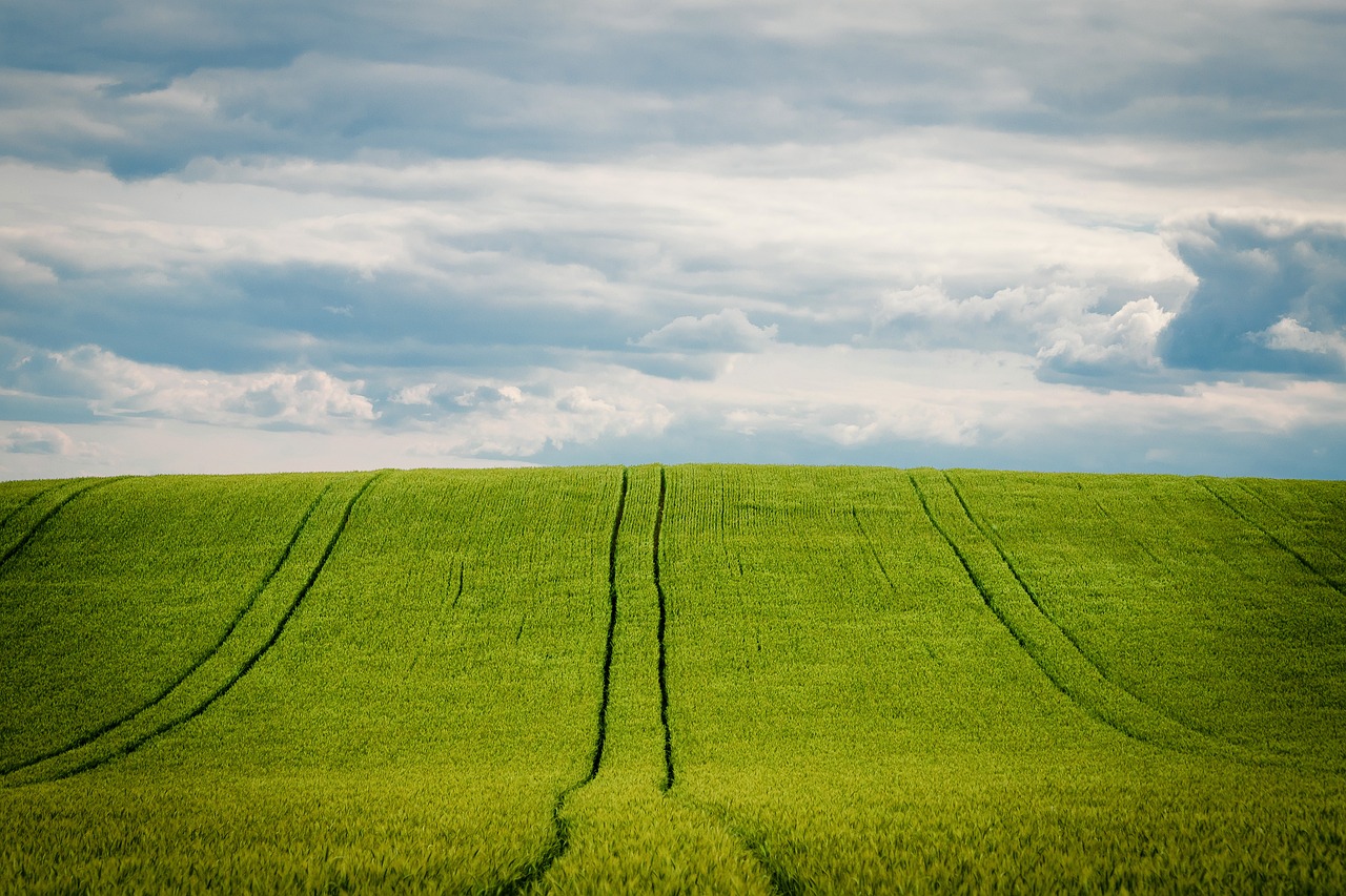 découvrez l'univers de l'agriculture, un secteur clé de l'économie qui allie traditions, innovations et durabilité. explorez les pratiques agricoles, les enjeux environnementaux et les nouvelles technologies qui transforment la production alimentaire pour un avenir meilleur.