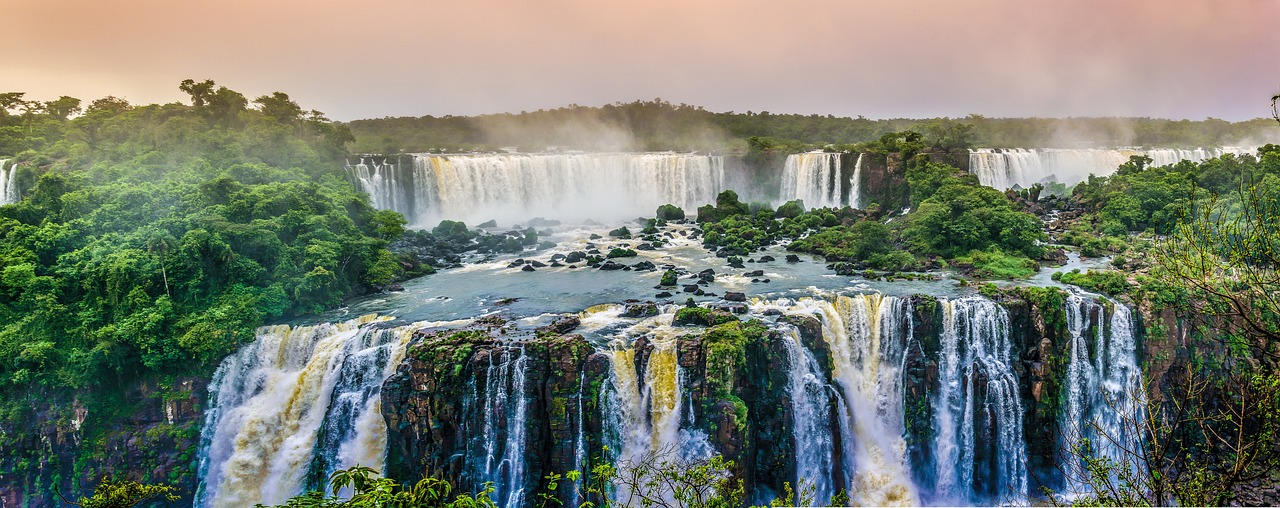 préservez la biodiversité et l'écosystème unique de la forêt amazonienne. découvrez les initiatives et les actions nécessaires pour protéger cette précieuse ressource naturelle, essentielle à la vie sur terre.