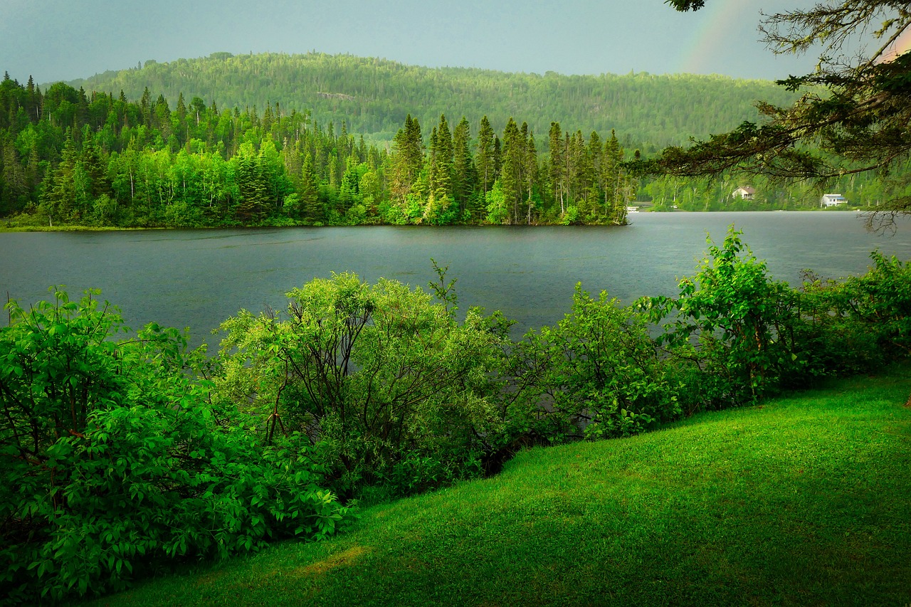 découvrez la richesse de la biodiversité, un trésor naturel vital pour notre écosystème. explorez les espèces, leur habitat et l'importance de préserver notre environnement pour les générations futures.