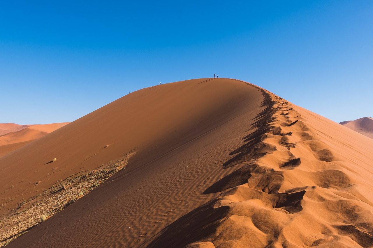 découvrez l'importance du climat et son impact sur notre planète. explorez les enjeux environnementaux, les changements climatiques et les solutions durables pour préserver notre écosystème.