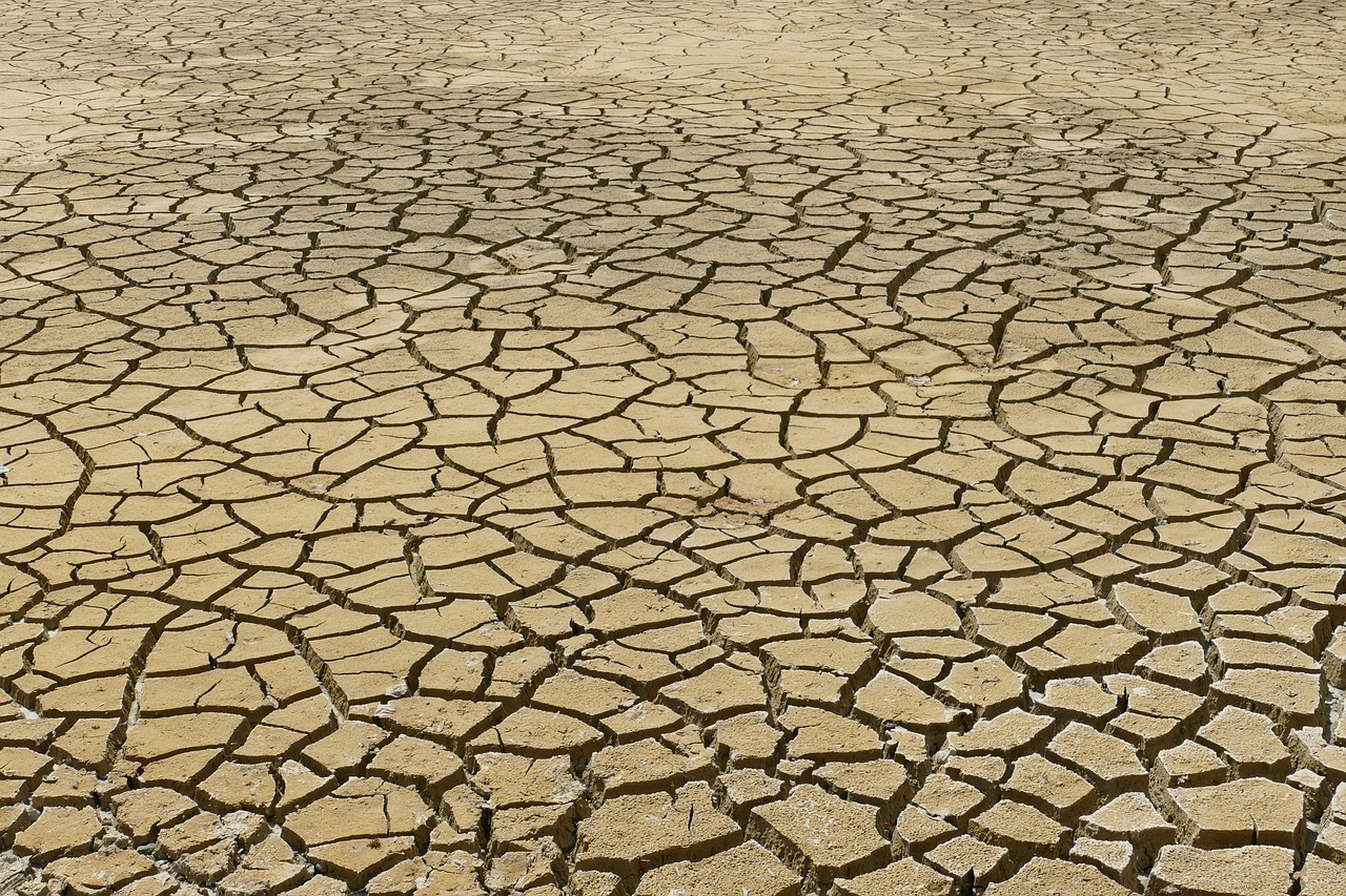 découvrez l'importance de la sensibilisation au changement climatique et apprenez comment chacun peut contribuer à la protection de notre planète. un engagement collectif pour un avenir durable.