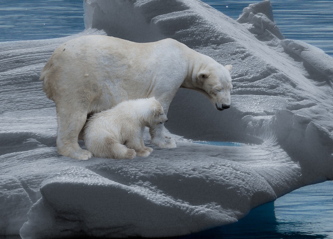 découvrez l'impact du changement climatique sur notre planète et les actions nécessaires pour préserver notre environnement. explorez les causes, les conséquences et les solutions face à ce défi mondial. engageons-nous ensemble pour un avenir durable.