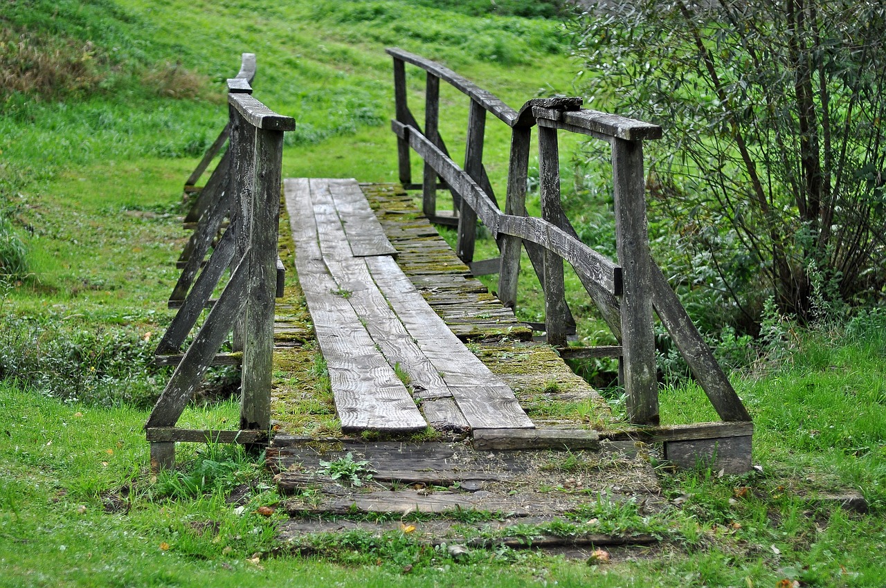 explorez les enjeux et les solutions de la transition écologique, un processus crucial pour un avenir durable. découvrez comment les actions individuelles et collectives contribuent à préserver notre planète et à favoriser le développement durable.