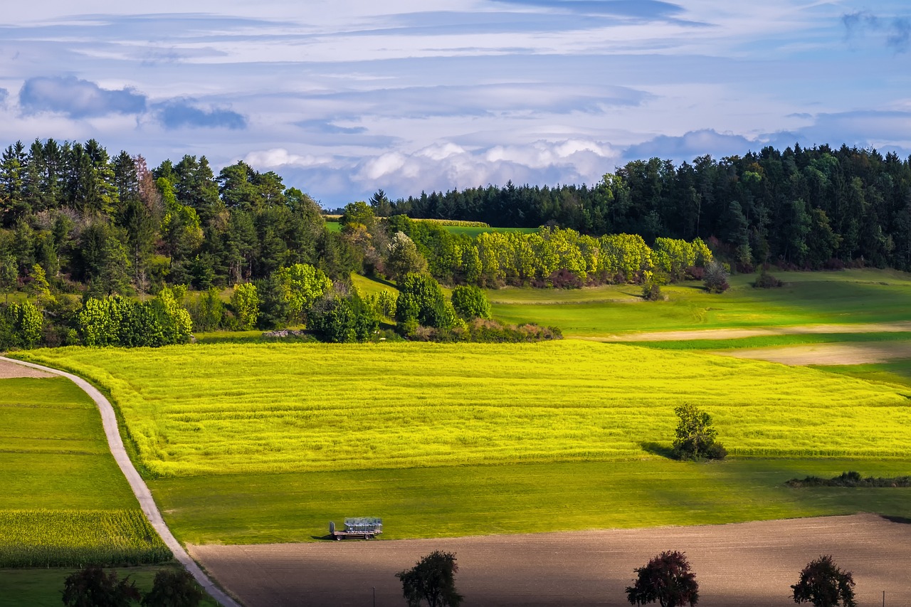 découvrez l'écologie, une science fondamentale qui étudie les interactions entre les organismes vivants et leur environnement. apprenez comment préserver notre planète et promouvoir un développement durable.