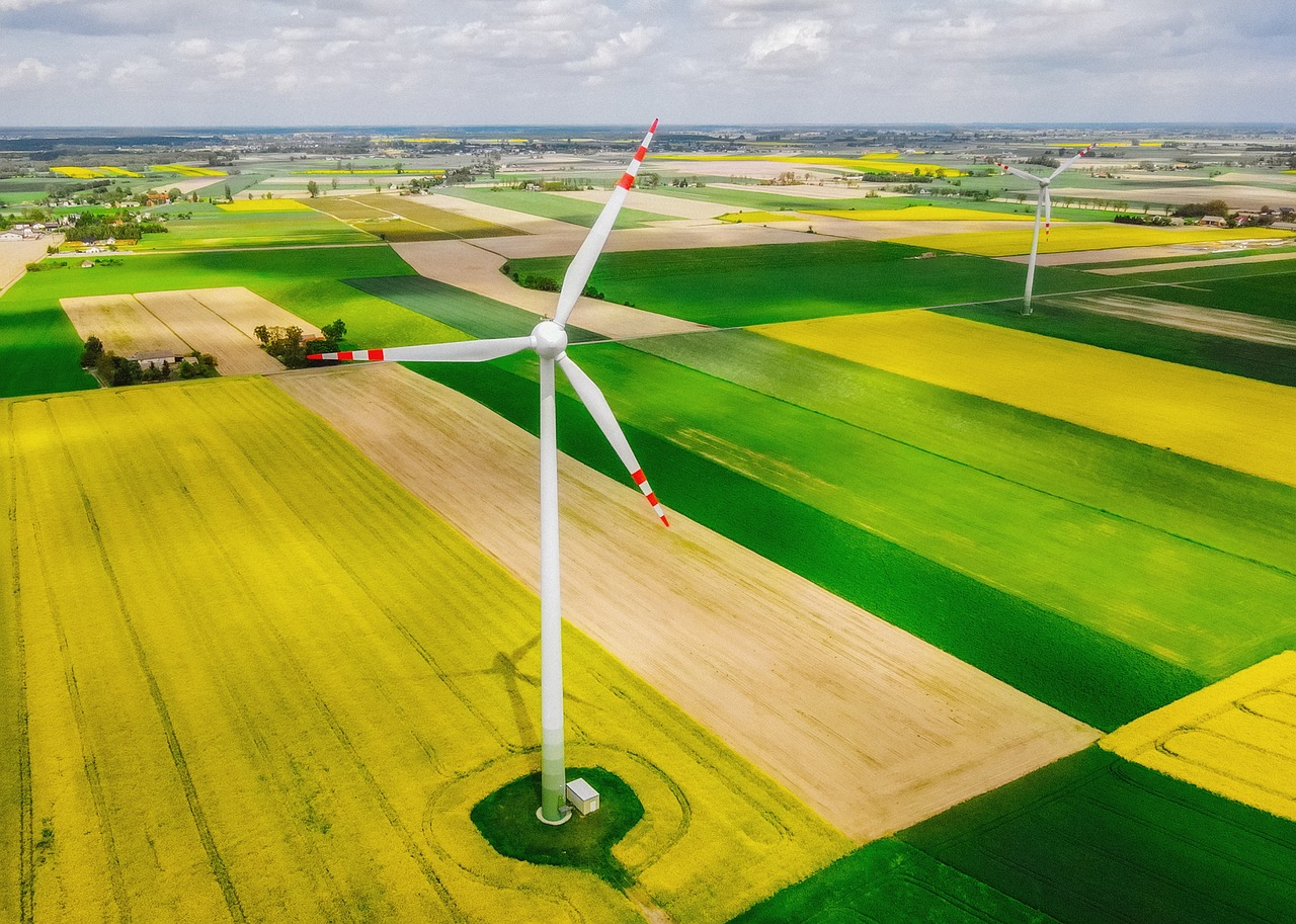 découvrez l'écologie, science qui étudie les relations entre les êtres vivants et leur environnement. explorez les enjeux de la biodiversité, de la conservation et des écosystèmes pour un avenir durable.