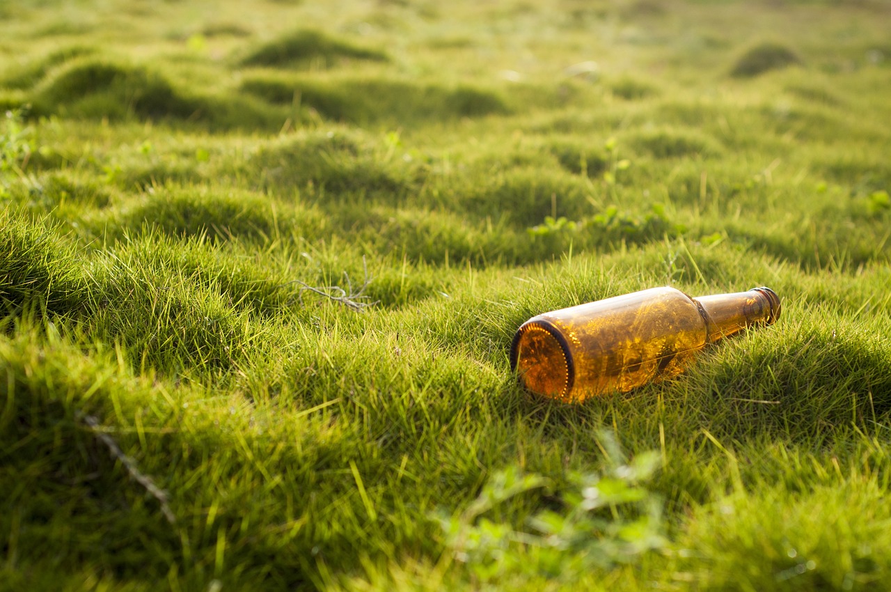 découvrez les influenceurs environnementaux qui font bouger les lignes pour la protection de notre planète. suivez leurs conseils, leurs actions et leur engagement pour un monde plus durable.