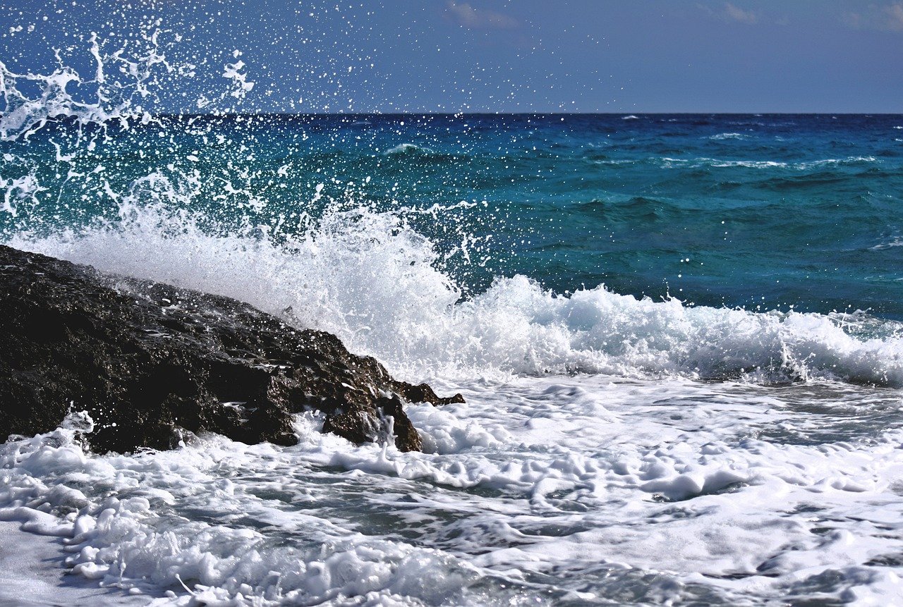 découvrez la beauté et la diversité des océans, véritables joyaux de notre planète. plongez dans un monde fascinant de vie marine, d'écosystèmes fragiles et d'aventures à travers les mers. informez-vous sur la protection des océans et les enjeux écologiques pour préserver cet héritage naturel.