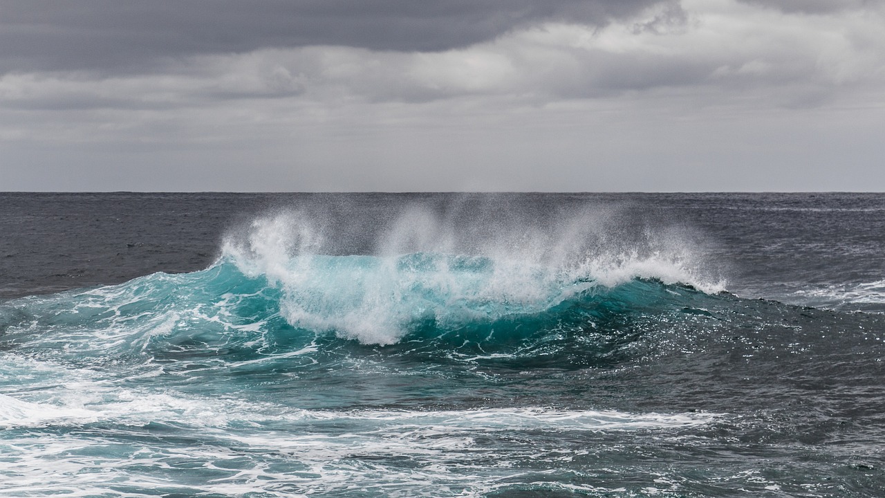 découvrez les merveilles des océans, des profondeurs mystérieuses aux écosystèmes fascinants. explorez la biodiversité marine, les enjeux de conservation et l'importance vitale des océans pour notre planète.