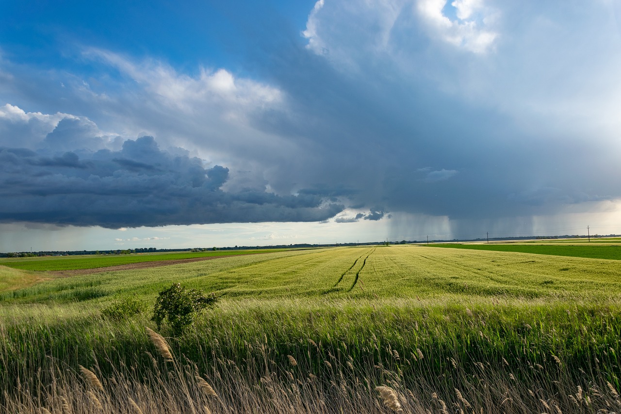 découvrez l'agriculture de précision, une méthode innovante qui optimise la production agricole grâce à l'utilisation des technologies avancées. améliorez votre rendement tout en respectant l'environnement et en utilisant des ressources de manière efficace.