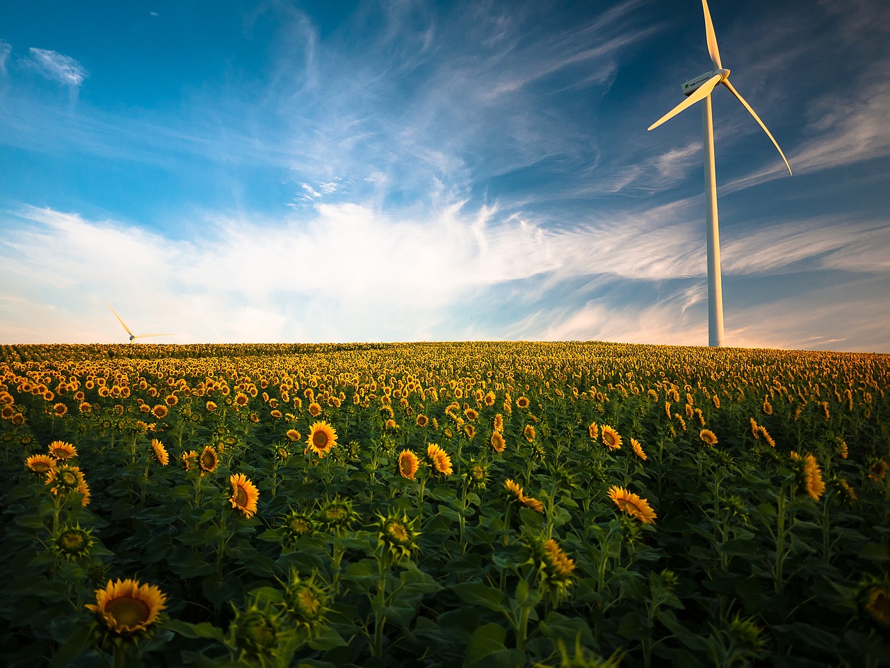 découvrez l'énergie renouvelable, une solution durable et innovante pour un avenir écologique. explorez les différentes sources telles que l'énergie solaire, éolienne et hydraulique, et apprenez comment elles contribuent à réduire notre empreinte carbone.