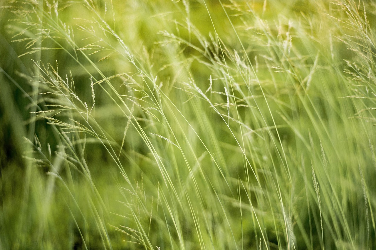 L’importance de la sensibilisation à l’écologie