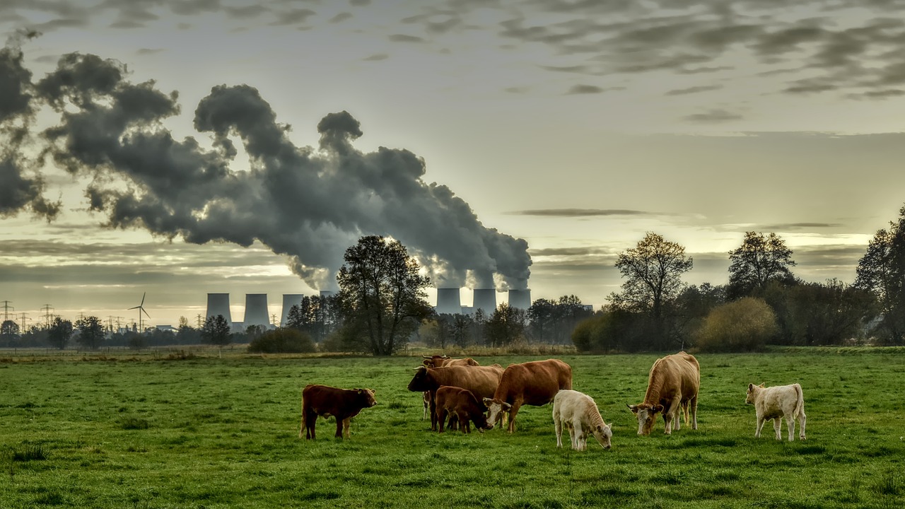 découvrez les causes et les conséquences de la pollution de l'air, un enjeu environnemental majeur. apprenez comment cette problématique affecte notre santé, notre climat et notre planète, ainsi que les solutions pour contribuer à un air plus pur.