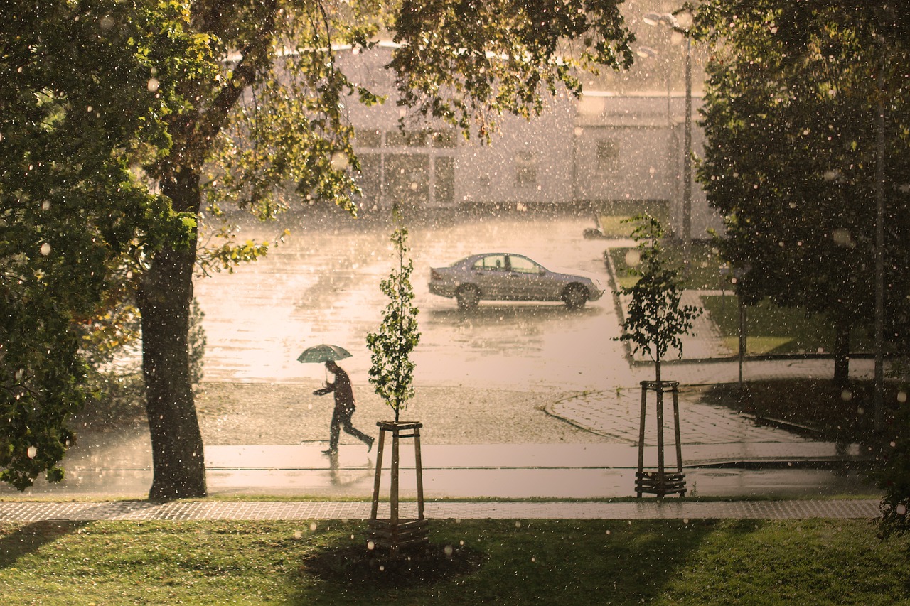 découvrez l'urgence climatique à travers des actions concrètes et des solutions innovantes. rejoignez le mouvement pour préserver notre planète et garantir un avenir durable.