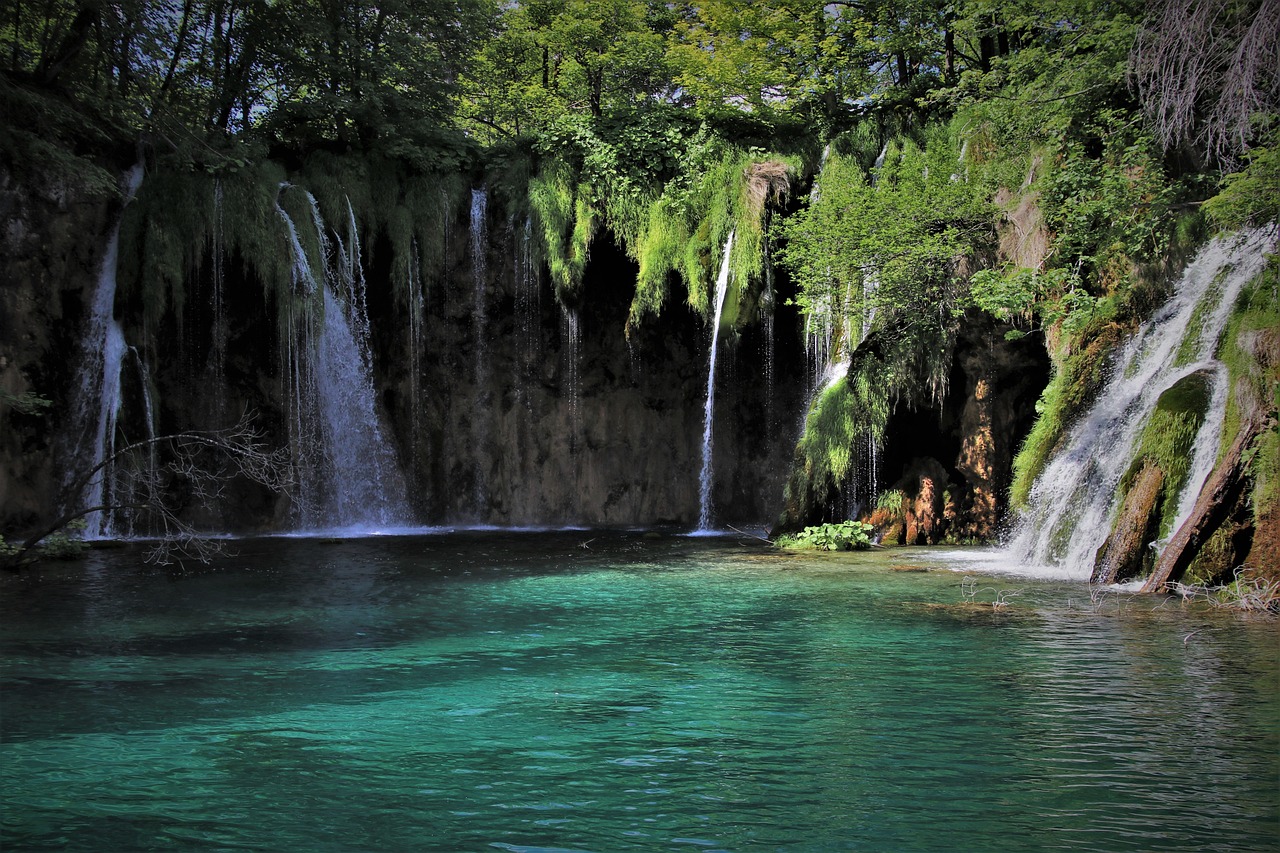 découvrez l'écotourisme, une manière responsable de voyager qui respecte l'environnement et les cultures locales. plongez au cœur de la nature tout en soutenant les initiatives durables et en préservant les ressources naturelles pour les générations futures.