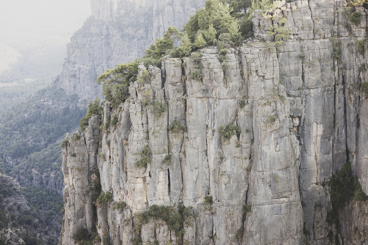 découvrez l'importance de la préservation de l'environnement pour un avenir durable. apprenez des stratégies et des actions concrètes pour protéger notre planète et contribuer à un écosystème sain.