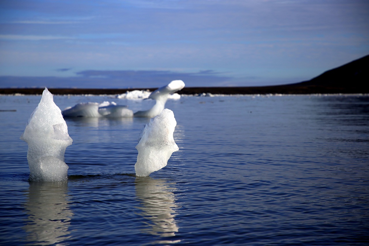 découvrez le permafrost, ce sol gelé en permanence qui joue un rôle crucial dans notre écosystème. explorez ses propriétés, son impact sur le climat et les enjeux environnementaux liés à sa fonte.