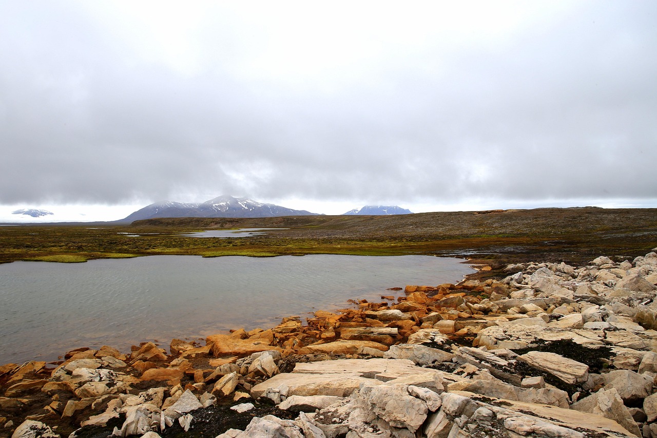 découvrez le permafrost, ce sol gelé en permanence qui joue un rôle crucial dans le climat de notre planète. apprenez comment il affecte nos écosystèmes, la biodiversité et les enjeux environnementaux contemporains.