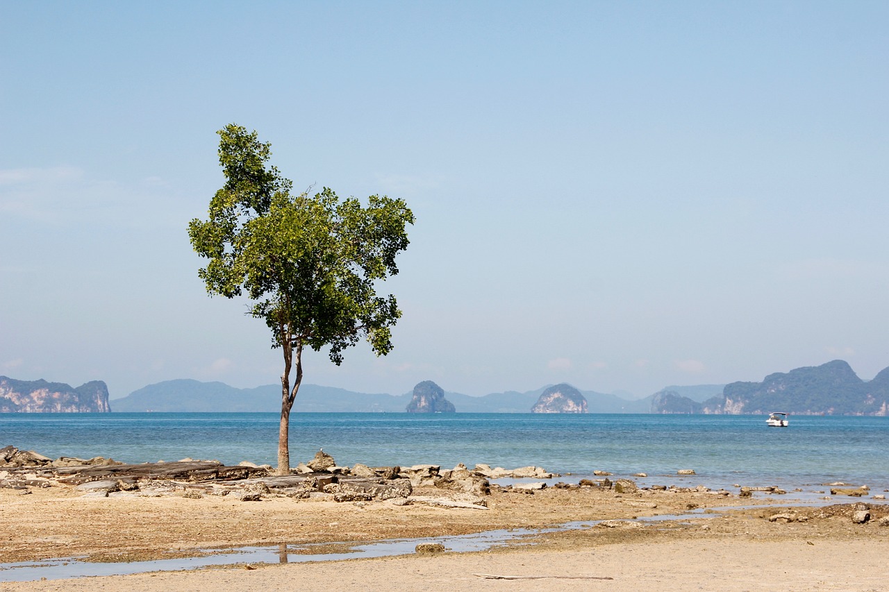 découvrez comment l'élévation du niveau de la mer impacte notre planète, ses conséquences environnementales et socio-économiques, ainsi que les solutions pour y faire face.