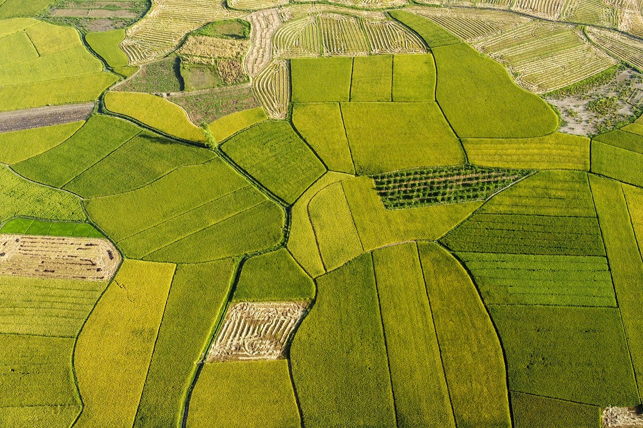 découvrez les merveilles de chaque saison : printemps fleuri, été ensoleillé, automne coloré et hiver enneigé. plongez dans les activités, les paysages et les traditions qui font de chaque période de l'année une expérience unique.