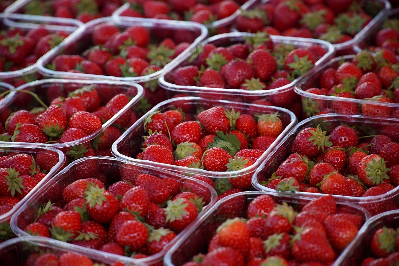 découvrez l'agriculture durable, une approche respectueuse de l'environnement qui favorise la préservation des ressources naturelles tout en garantissant des rendements agricoles optimaux. engagez-vous pour une production alimentaire responsable et innovante.