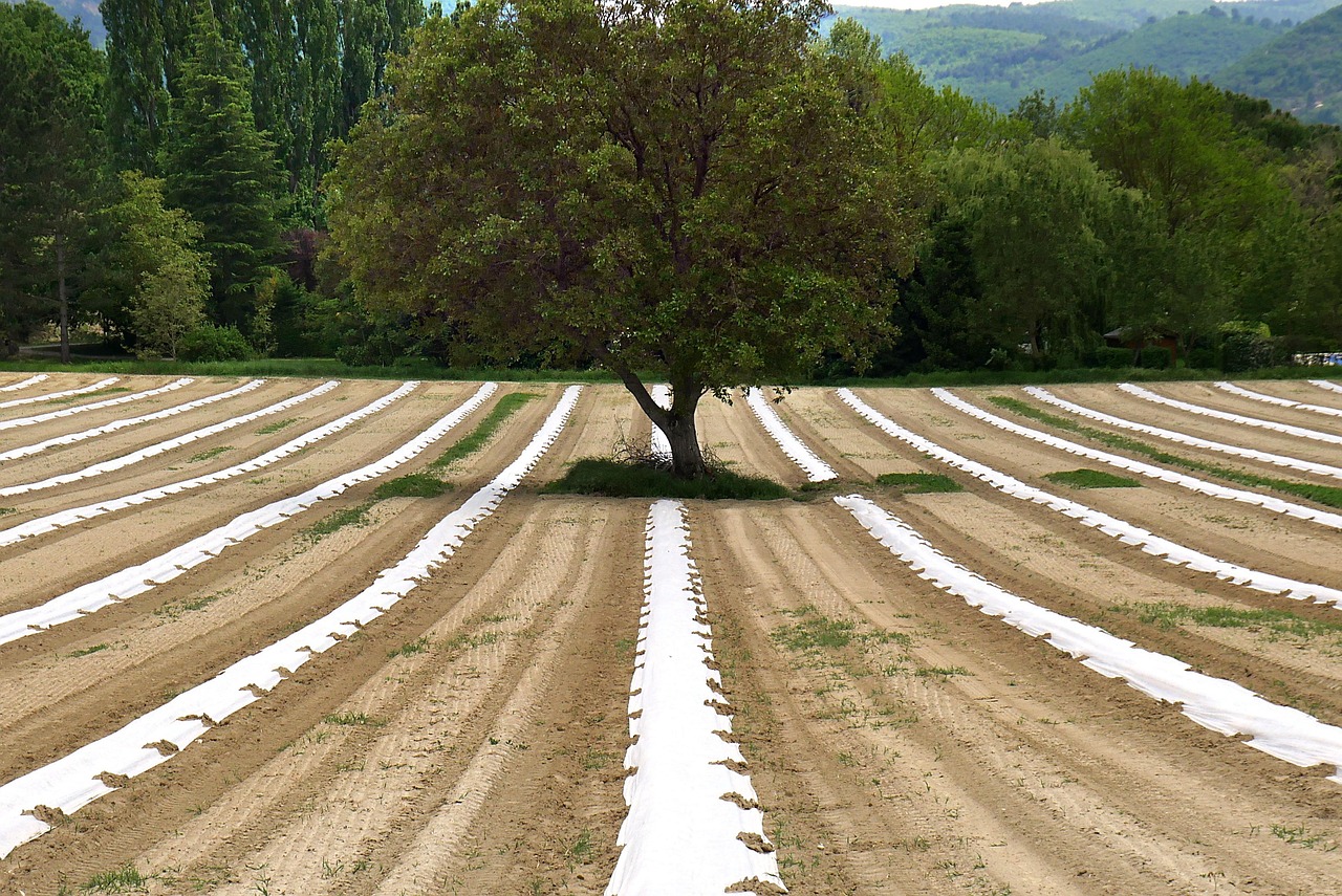 Les principes de l’agroécologie pour une agriculture durable