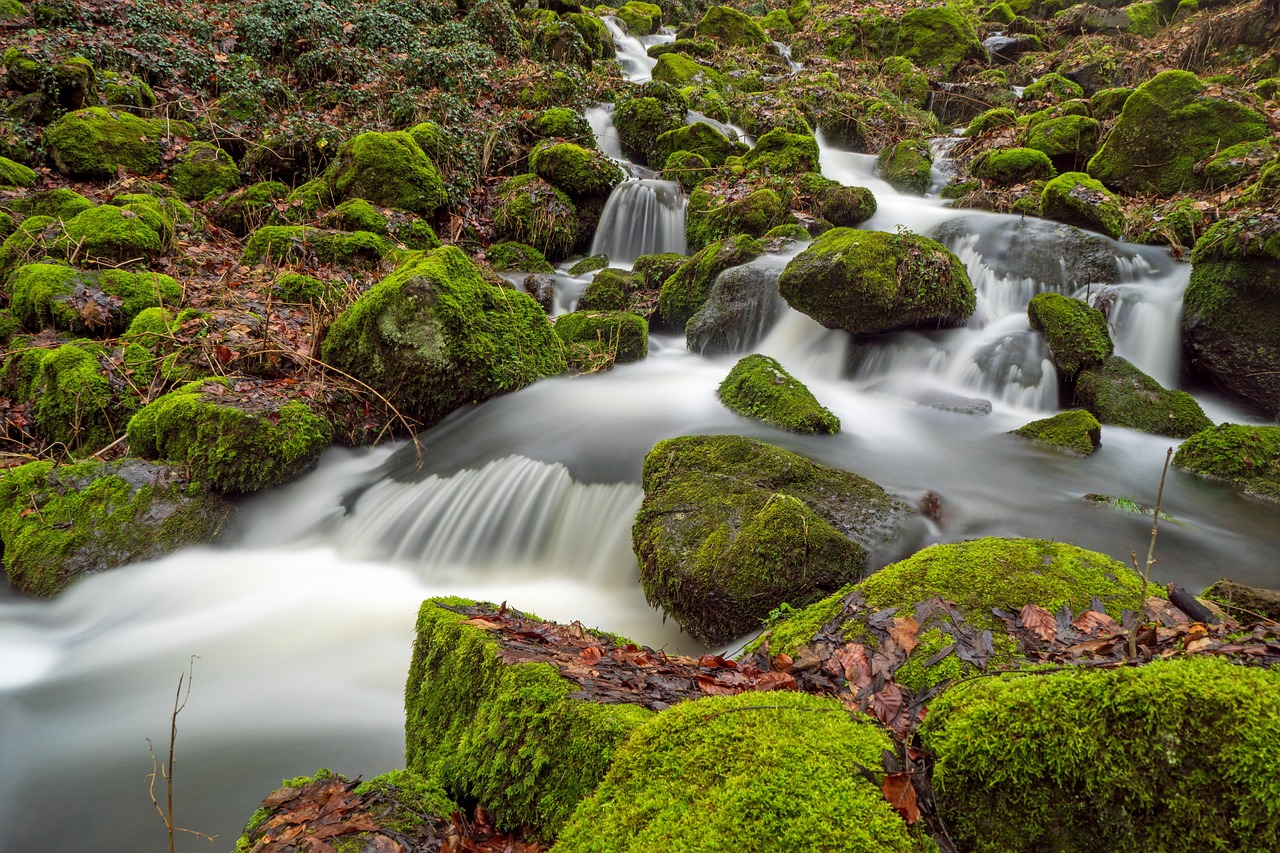 L’importance de l’eau dans un lifestyle durable